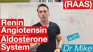 Renin Angiotensin Aldosterone system [upl. by Esilahs]