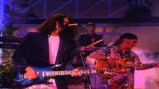 Caifanes  Viento En Vivo 1991Remasterizado HD [upl. by Ettelimay]