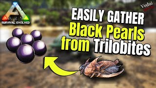 ARK  Guide  Black Pearl gathering from Trilobites using Diplocaulus Vedui42 [upl. by Catie385]