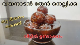 Then Nellikka Recipe  വയനാടൻ തേൻ നെല്ലിക്ക വീട്ടിൽ ഉണ്ടാക്കാം ഒറ്റ ദിവസം കൊണ്ട്  Malayalam [upl. by Eirroc804]