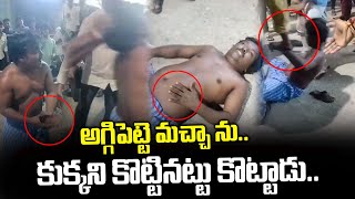 అగ్గిపెట్టె మచ్చా ను కుక్కని కొట్టినట్టు కొట్టాడు Aggipetti Macha Viral News  I Dream [upl. by Ahseik]