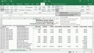 Using Freeze Panes to Keep RowColumn Headings Visible in Excel [upl. by Capello]