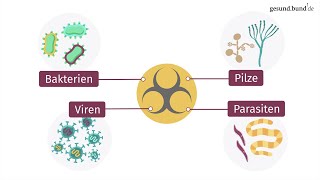 Was sind Infektionskrankheiten [upl. by Letnahc]