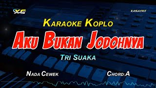 AKU BUKAN JODOHNYA KARAOKE KOPLO NADA CEWEK [upl. by Larianna678]