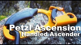 Petzl Ascension Handled Ascender [upl. by Ahsilyt]