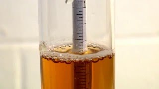 How to Use a Hydrometer for Homebrewing [upl. by Aeli]