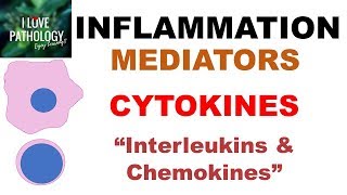 INFLAMMATION Part 6 Chemical Mediators CYTOKINES Interleukins amp Chemokines [upl. by Rambort]