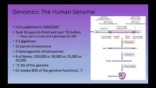 Bioinformatics Lecture 2 Whats in a genome [upl. by Akimet]