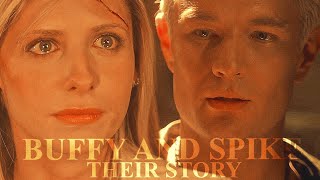 Buffy and Spike  Their Story [upl. by Leiru]