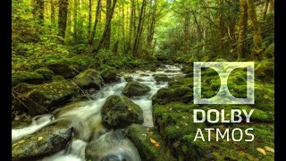 Experience the real Dolby Atmos sound quotRAIN FORESTquot [upl. by Nylassej]