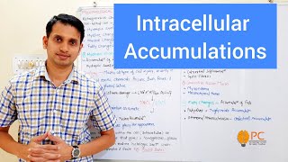 Intracellular Accumulation Part 1 Types and Mechanism of Intracellular Accumulation [upl. by Ellerud]