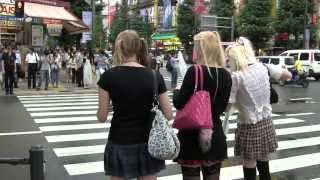 東京観光 Sightseeing in Tokyo Japan [upl. by Jory]