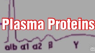 Plasma Proteins Biochemistry Albumin Globulins  Fibrinogen [upl. by Terrilyn317]