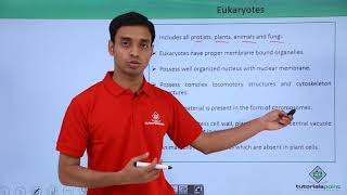 Class 11th  Eukaryotes – Introduction  Cell The unit of Life  Tutorials Point [upl. by Aerdnaek]