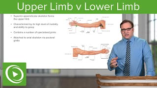 Upper Limb amp Lower Limb – Anatomy  Lecturio [upl. by Hollie]