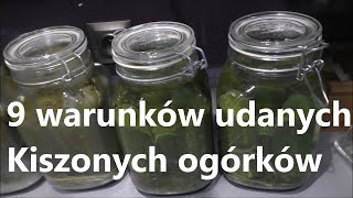 9 warunków idealnych ogórków Kiszonych [upl. by Maressa]