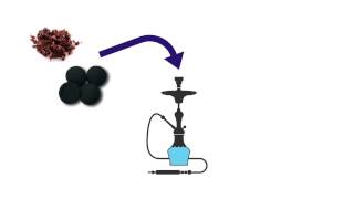 How a Shisha Pipe Works [upl. by Aihsrop]