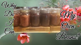 Why I can My Dry Beans The canning Process [upl. by Oelak152]