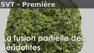 SVT  Première  La fusion partielle des péridotites dans les zones de subduction [upl. by Yleme863]