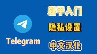 Telegram 中文汉化 隐私设置防止诈骗 电报入门教学，解除86私聊限制， 电报的注册汉化安装包怎么用电报加群 [upl. by Hellah]