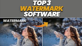 How To Remove Watermark From Videos Or Photos  Best Top 3 Watermark Remover [upl. by Onirefes263]