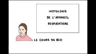 Histologie de l’appareil respiratoire relations structurefonction [upl. by Odlavso]