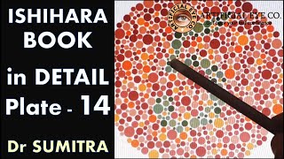 Ishihara Test Book Plate 14 in Detail  Dr Sumitra  Color Blindness Test [upl. by Bagger738]