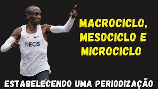 PERIODIZAÇÃO DEFININDO MACROCICLO MESOCICLO E MICROCICLO PARA PLANEJAMENTO DA TEMPORADA DE TREINOS [upl. by Sherburn]