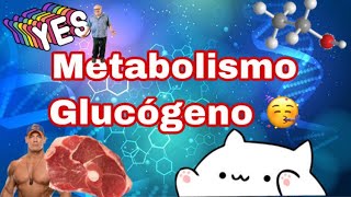 Metabolismo del glucógeno Glucogenólisis y Glucogenogénesis [upl. by Isayg]