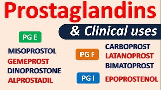 latanoprost English  Medical terminology for medical students [upl. by Ahsilaf383]