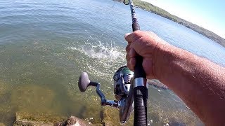 How To Catch HUGE Catfish From The Bank [upl. by Marka]