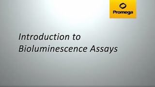 Introduction to Bioluminescent Assays [upl. by Sampson]