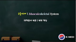 의학용어 발음  근골격계 Musculoskeletal System [upl. by Harhay]