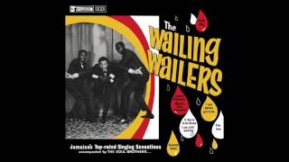 The Wailing Wailers  quotIm Still Waitingquot Official Audio [upl. by Nonrev716]