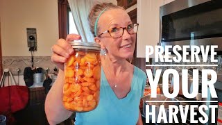 My Top 4 Ways  Preserving Carrot Harvest [upl. by Carina]