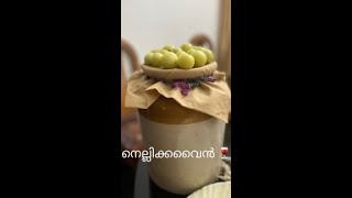 നെല്ലിക്ക wine easy recipe 🍷😍 [upl. by Llered]