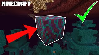 MINECRAFT  How to Get  Make Warped Hyphae 1161 [upl. by Poler]