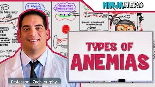 Hematology  Types of Anemias [upl. by Ellard]