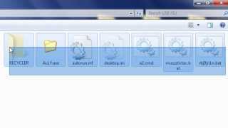 How to manually remove viruses from usb flash drive without antivirus  removal program [upl. by Arual]