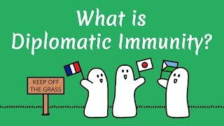 What is Diplomatic Immunity [upl. by Adnowal]