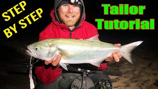 TailorBluefish Tactics Howto catch more fish [upl. by Adekram662]