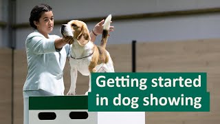 How to get started in Dog Showing [upl. by Omrellug]