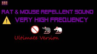 ⚠️Ultimate Version 🚫🐀🐁 Rat amp Mouse Repellent Sound Very High Frequency 9 Hour [upl. by Aisa]