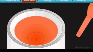 Cryotop Oocyte Vitrification Animation [upl. by Nolahc947]