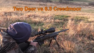 330 and 375 Yard Deer VS 65 Creedmoor [upl. by Klemens]