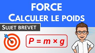 Force calcul et poids 🎯 Sujet Brevet  Physique Chimie [upl. by Sudhir326]