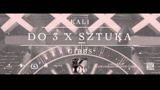 8 Kali Gibbs  Do 3 X Sztuka [upl. by Darline]