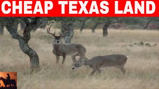 7 Places In Texas To Buy Cheap Land [upl. by Erreit658]