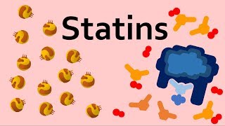 Statins and Cholesterol [upl. by Lattie]