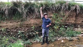 Riparian Restoration 101 Stream Restoration [upl. by Hellah]